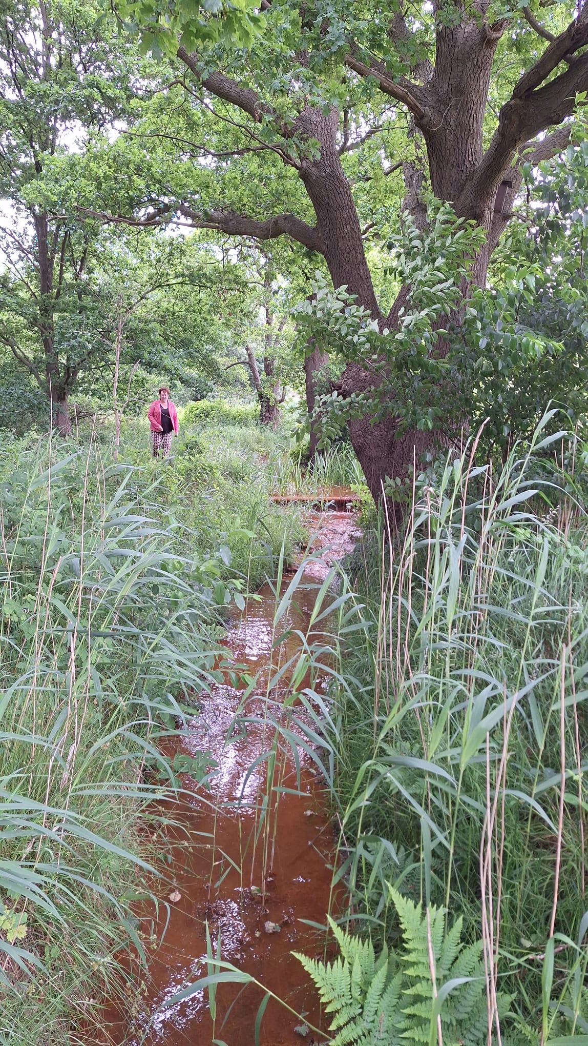 lopen op breukrand